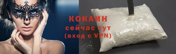 стафф Осташков