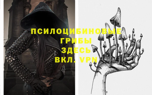 гидропоника Осинники