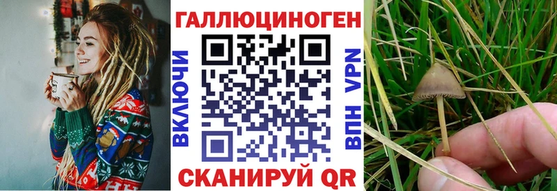 Галлюциногенные грибы Cubensis  Купить  Тула 